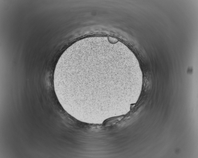 X0000116601490201001081138