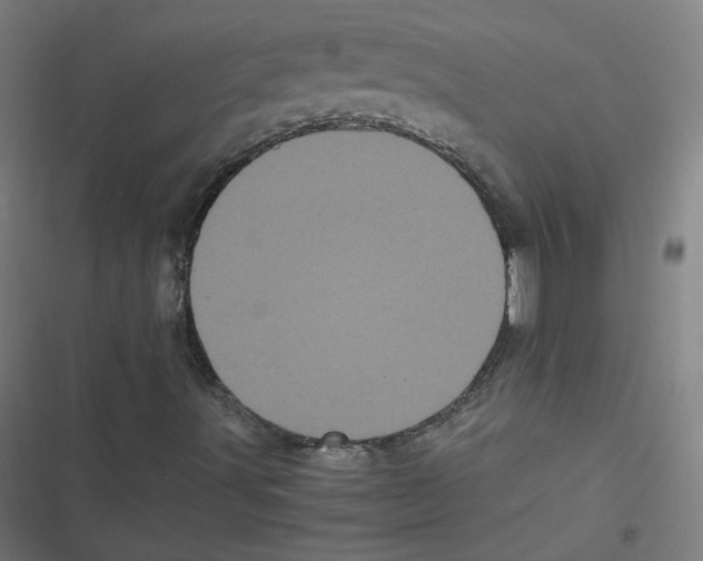 X0000116601491201001081138