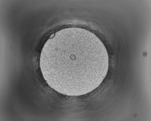 X0000116601493201001081138