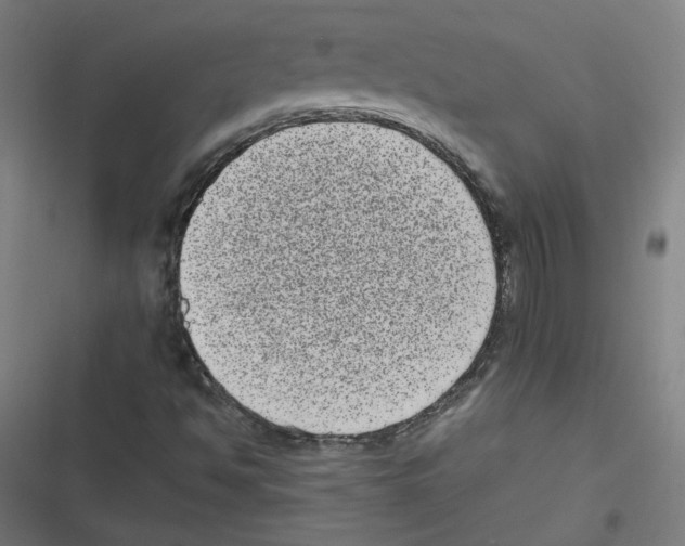 X0000116601494201001081138