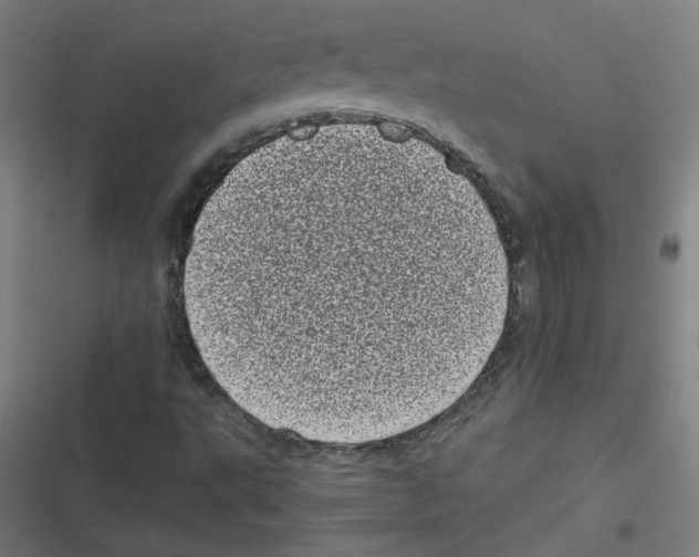 X0000116601495201001081138