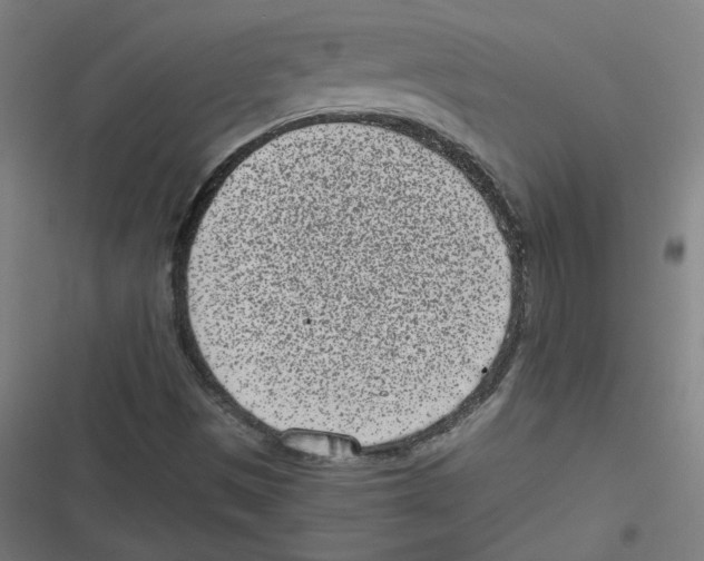 X0000116601497201001081138