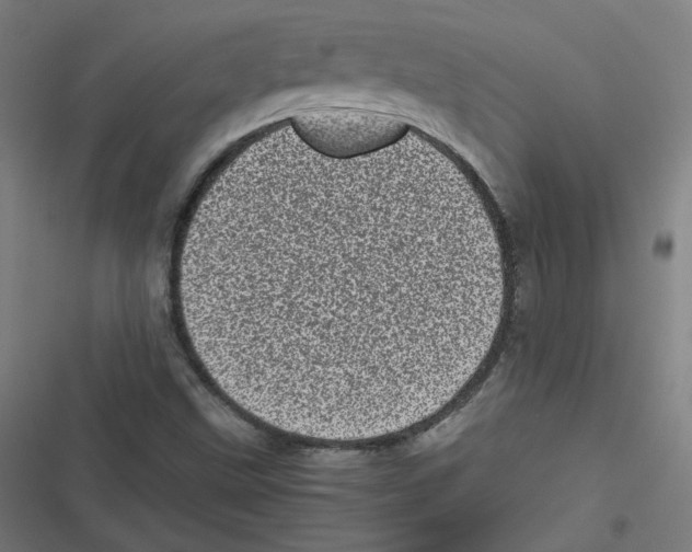 X0000116601499201001081138