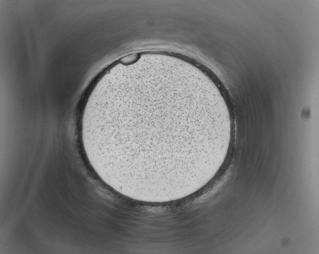 X0000116601501201001081138