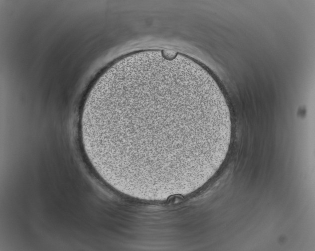 X0000116601507201001081139
