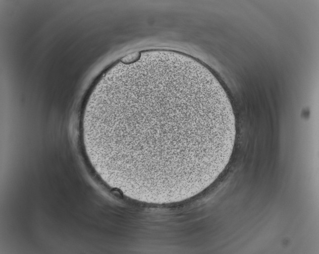 X0000116601511201001081139