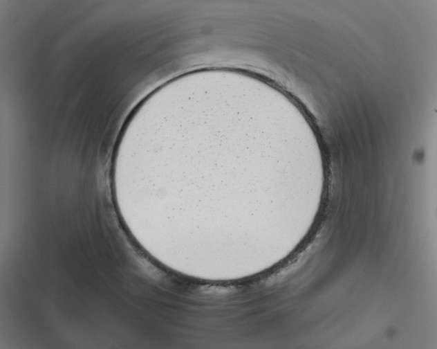 X0000116601513201001081139