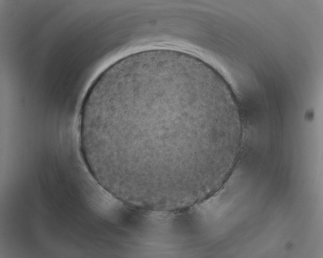 X0000116601514201001081139