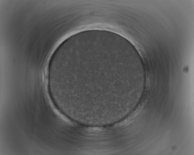 X0000116601515201001081139