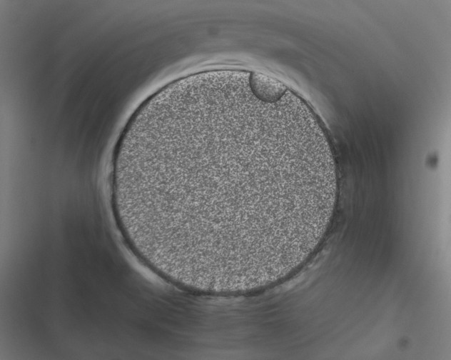 X0000116601519201001081139