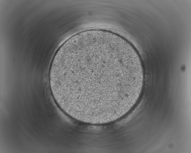 X0000116601521201001081139
