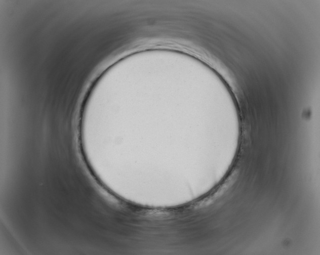 X0000116601525201001081139