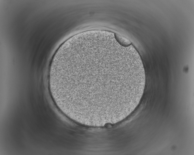 X0000116601526201001081139