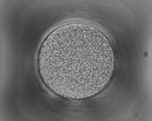 X0000116601527201001081139