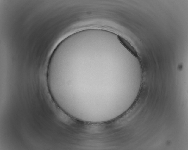 X0000116601530201001081139