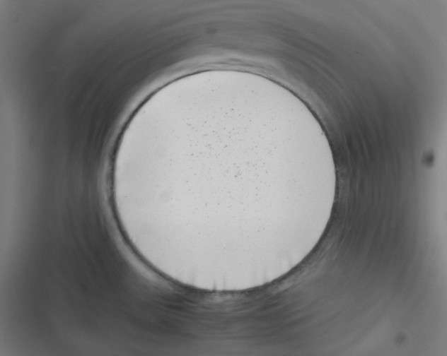 X0000116601531201001081139