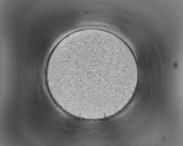 X0000116601533201001081139