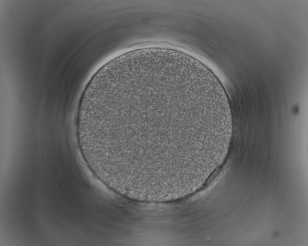 X0000116601534201001081139