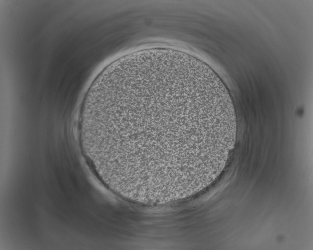 X0000116601535201001081139
