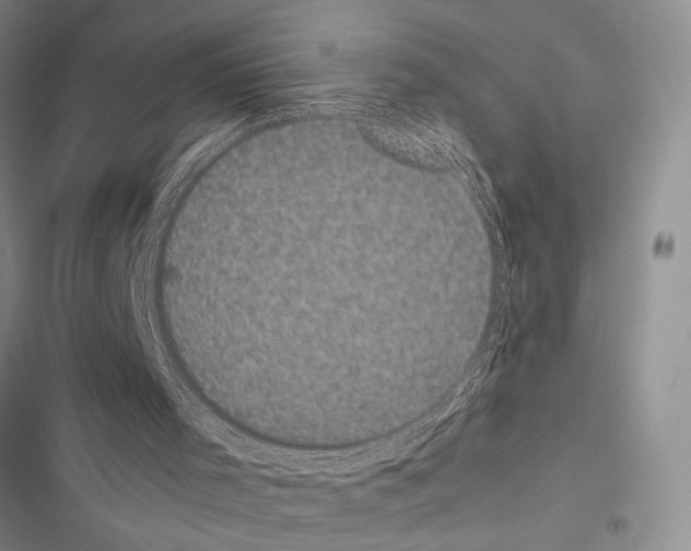 X0000116600001201001221307