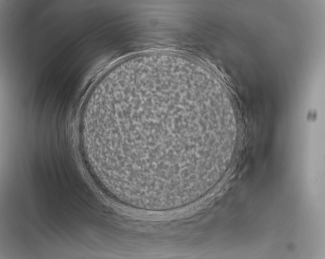 X0000116600002201001221307