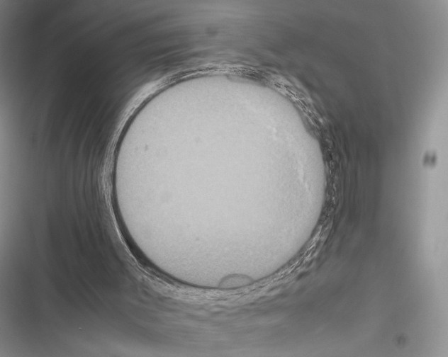 X0000116600003201001221307