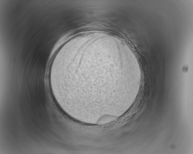 X0000116600004201001221307