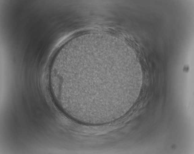 X0000116600005201001221307