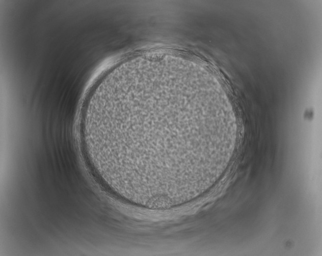 X0000116600006201001221307