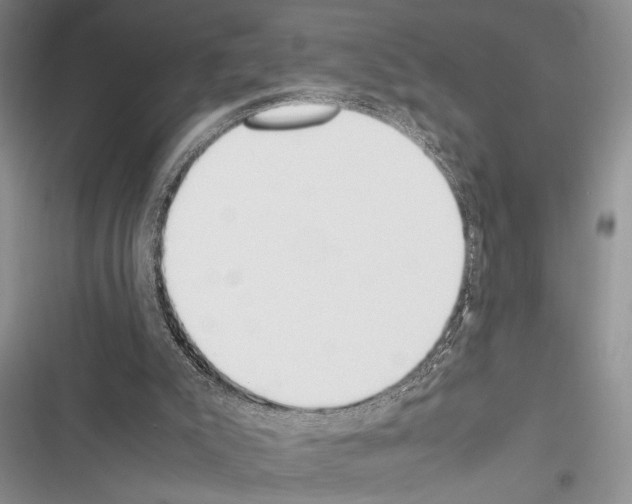 X0000116600007201001221307
