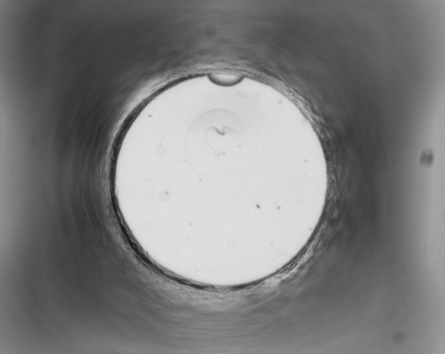 X0000116600008201001221307
