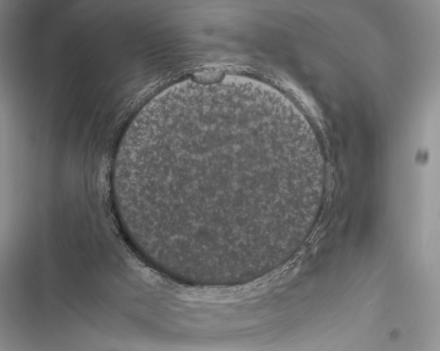 X0000116600009201001221307