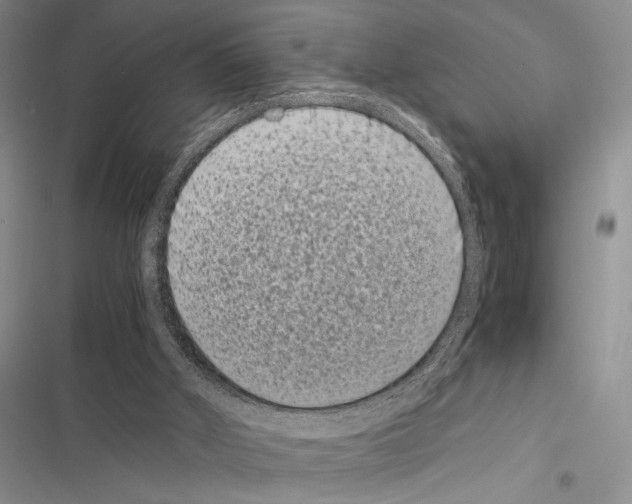 X0000116600010201001221307