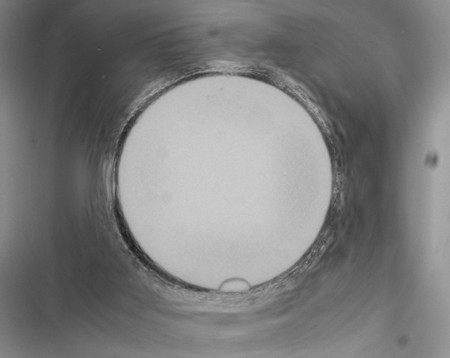 X0000116600011201001221307