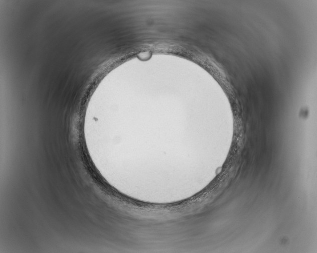 X0000116600012201001221307