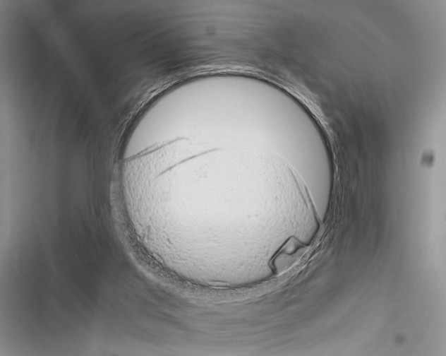 X0000116600013201001221307