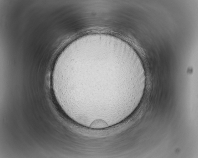 X0000116600014201001221307