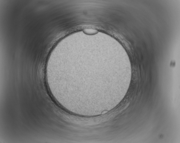 X0000116600015201001221307