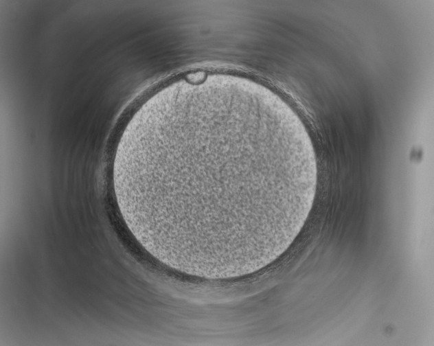 X0000116600016201001221307