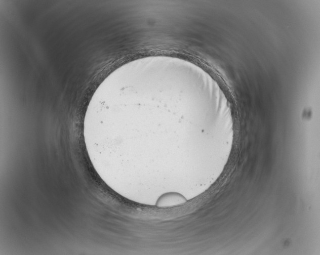 X0000116600017201001221307