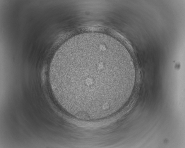X0000116600018201001221307