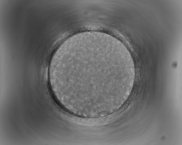 X0000116600019201001221307