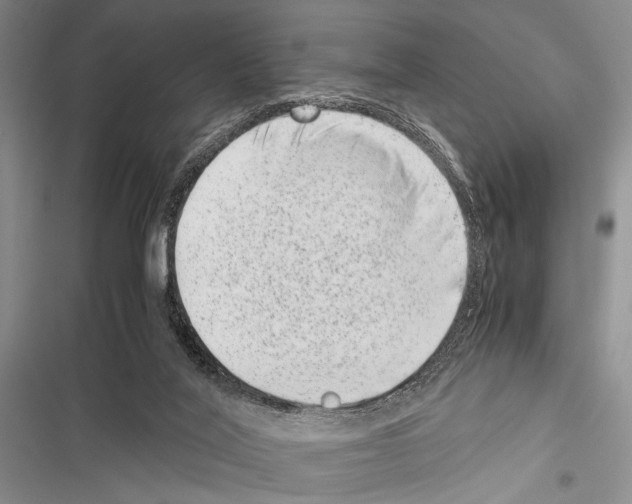 X0000116600020201001221307