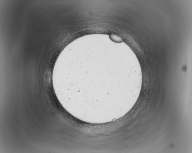 X0000116600021201001221307