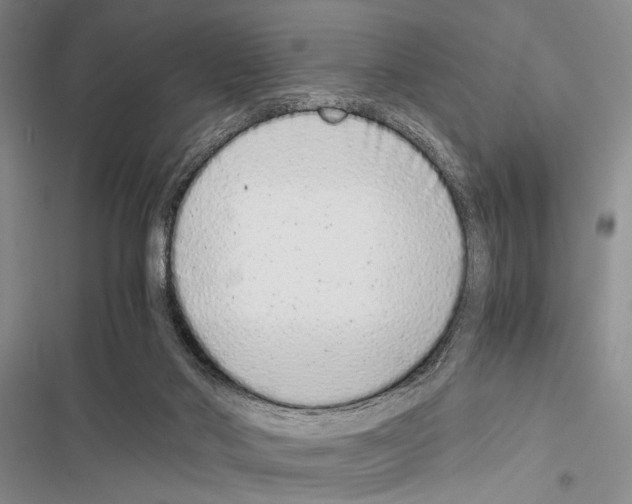 X0000116600022201001221307
