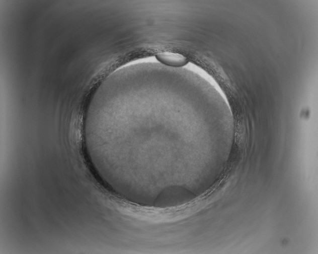 X0000116600023201001221307