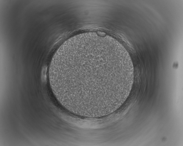 X0000116600024201001221307