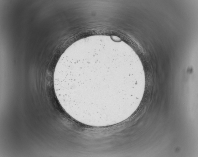 X0000116600025201001221307