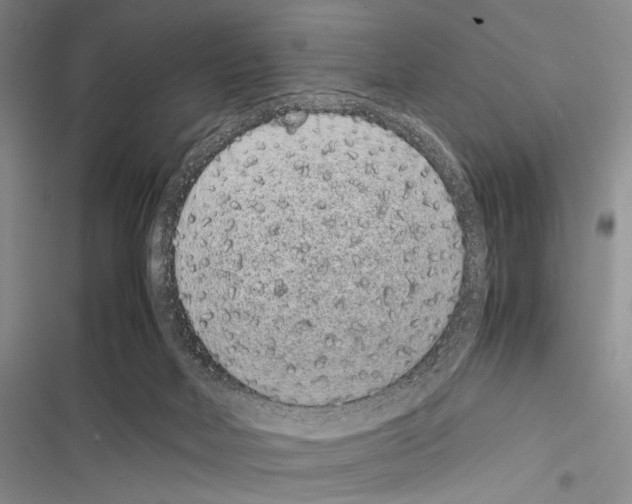 X0000116600026201001221307