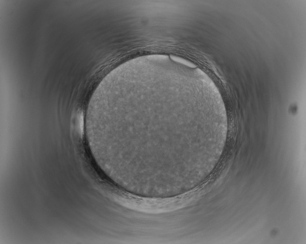 X0000116600027201001221307